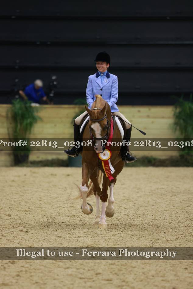 Proof 22R13_02308