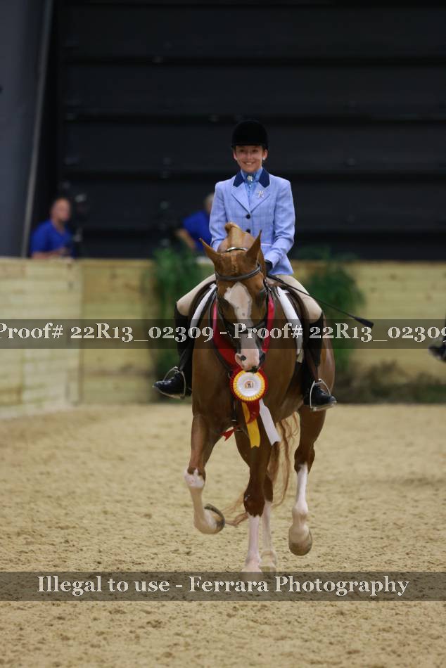 Proof 22R13_02309