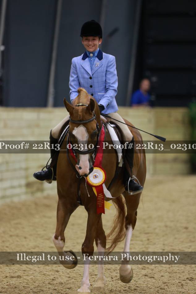 Proof 22R13_02310