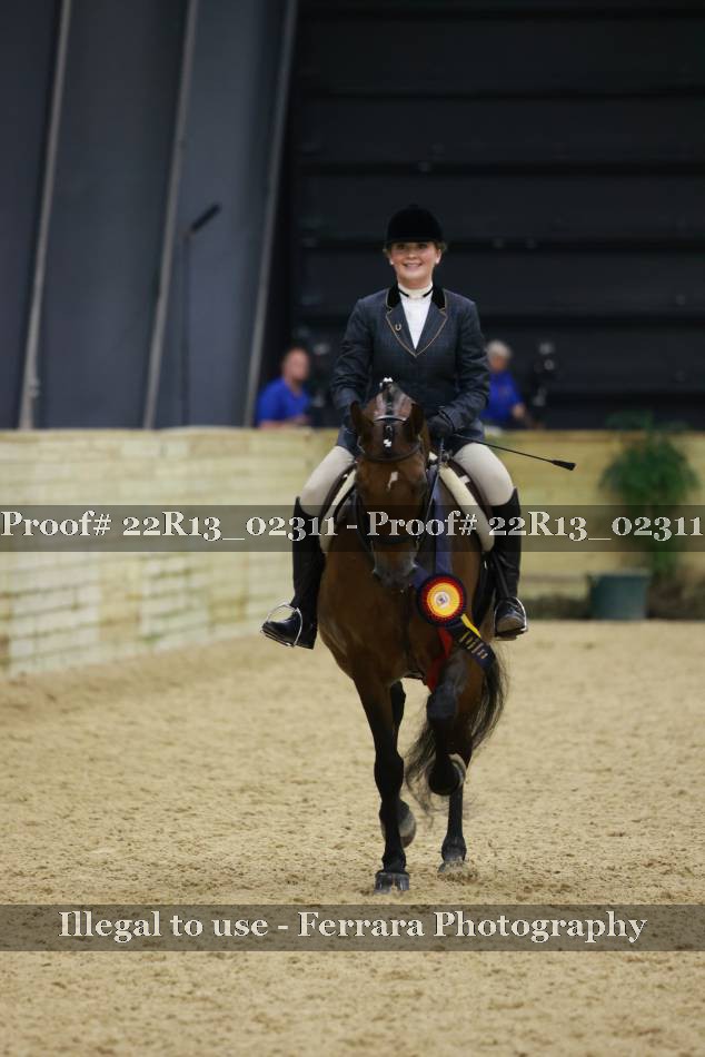 Proof 22R13_02311