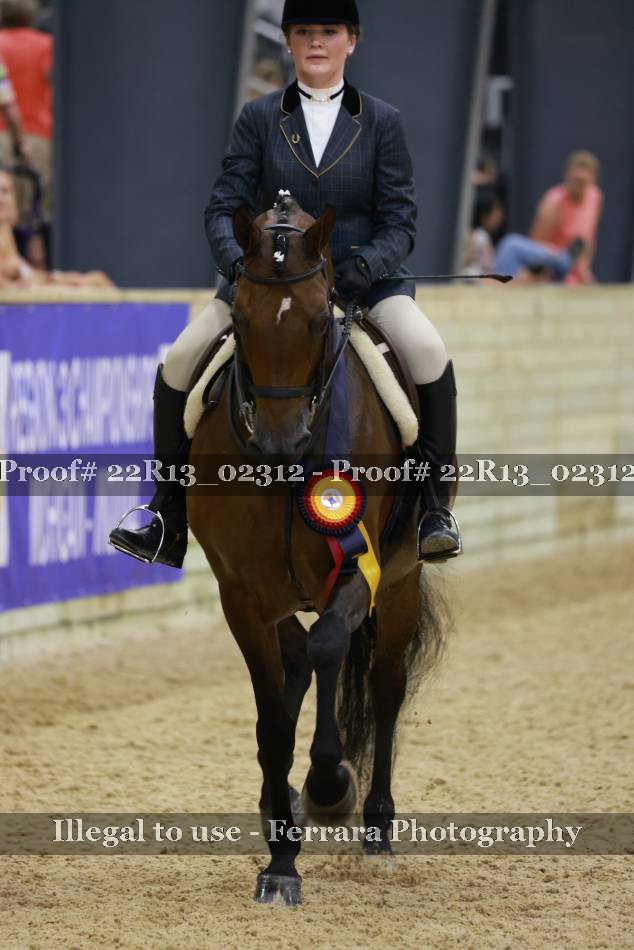 Proof 22R13_02312