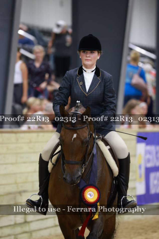 Proof 22R13_02313