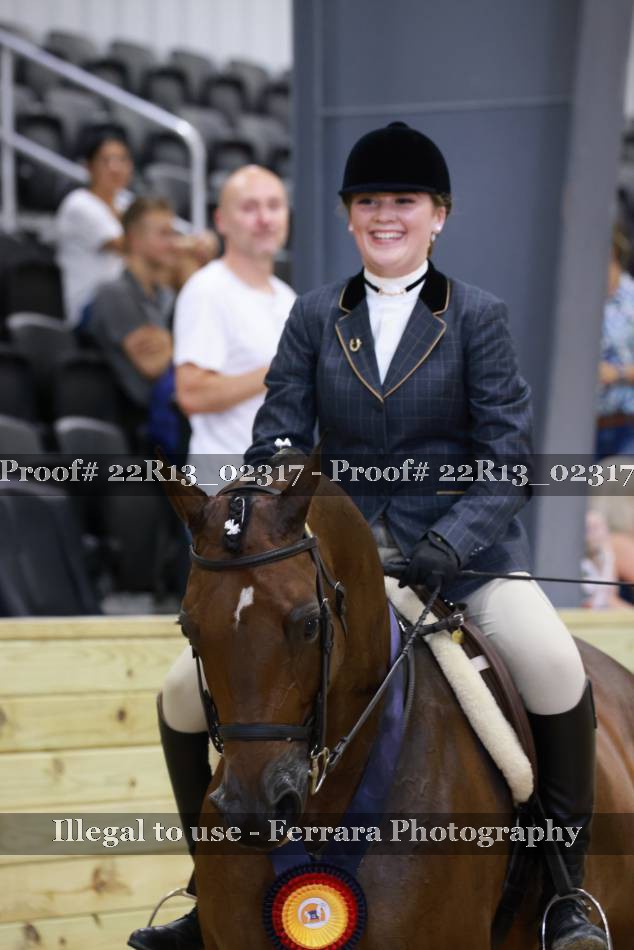 Proof 22R13_02317