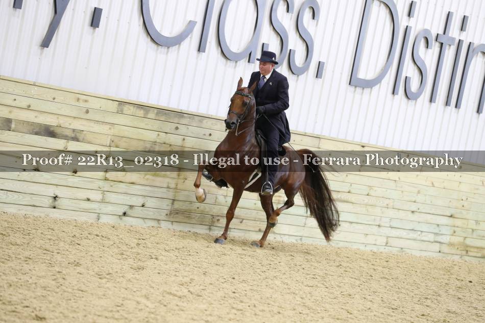 Proof 22R13_02318