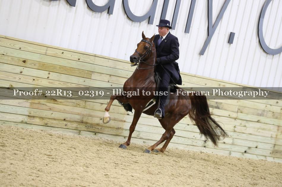 Proof 22R13_02319