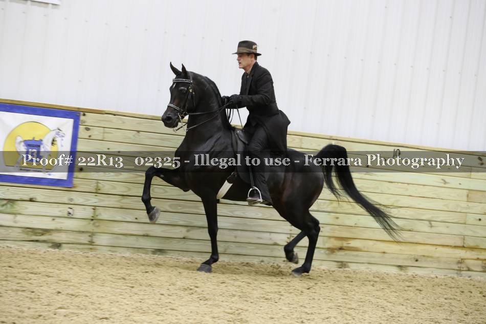 Proof 22R13_02325