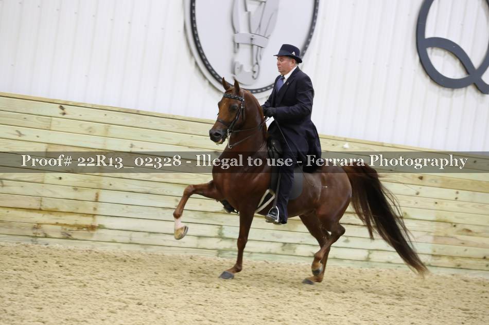 Proof 22R13_02328