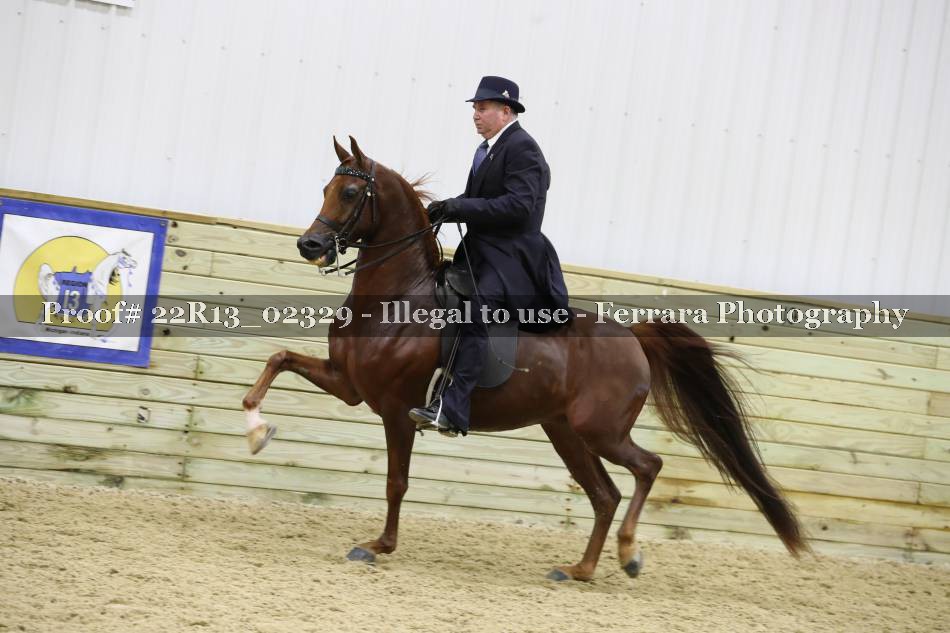 Proof 22R13_02329
