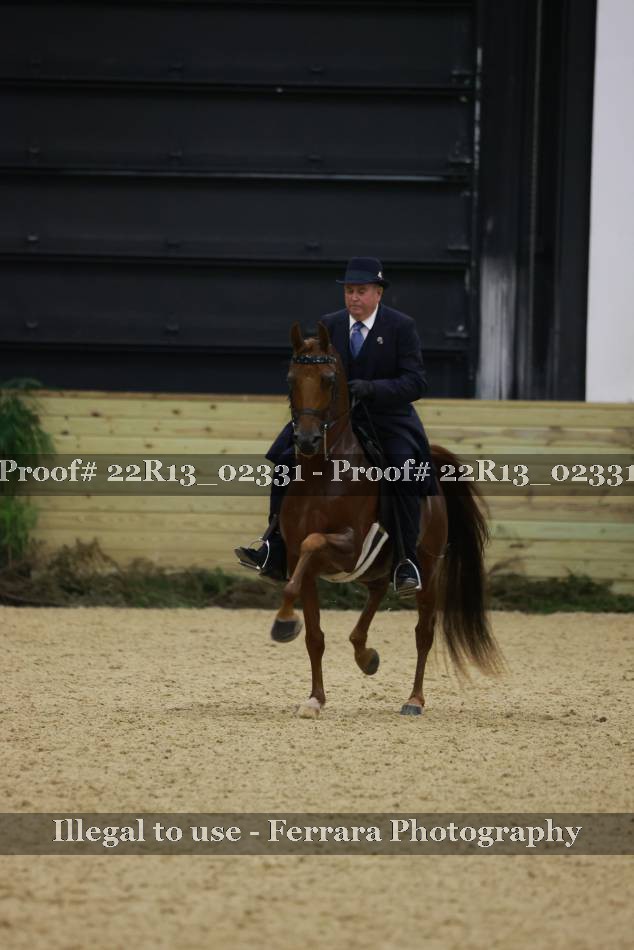 Proof 22R13_02331