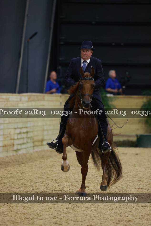 Proof 22R13_02332