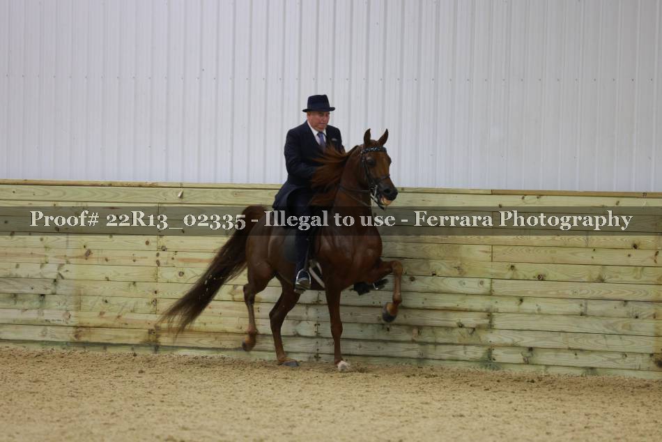 Proof 22R13_02335