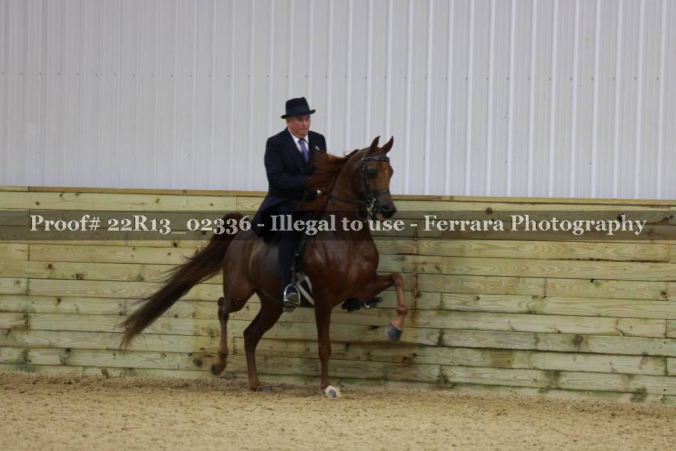 Proof 22R13_02336