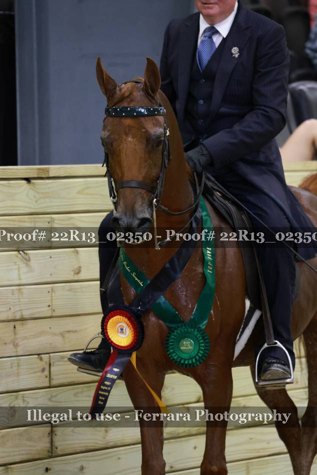 Proof 22R13_02350