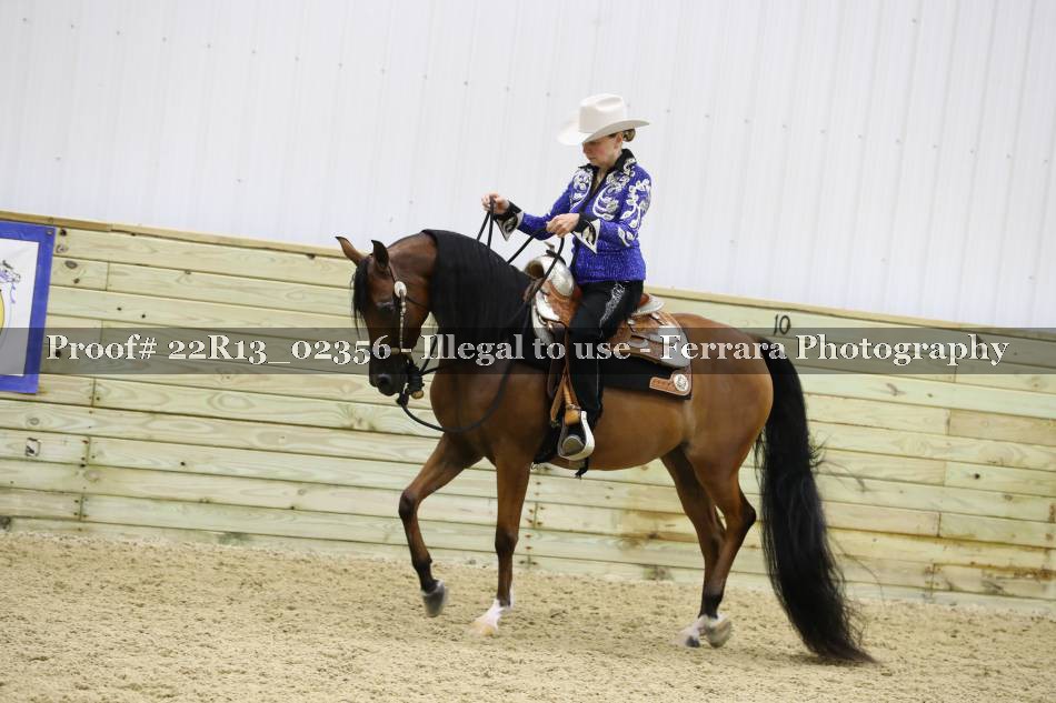 Proof 22R13_02356