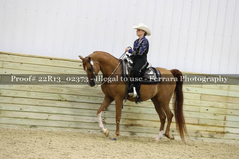 Proof 22R13_02373