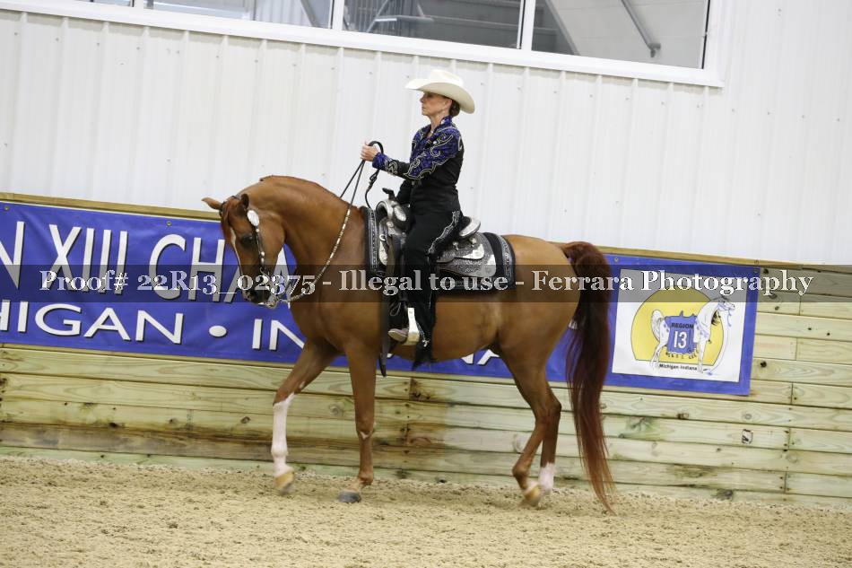 Proof 22R13_02375