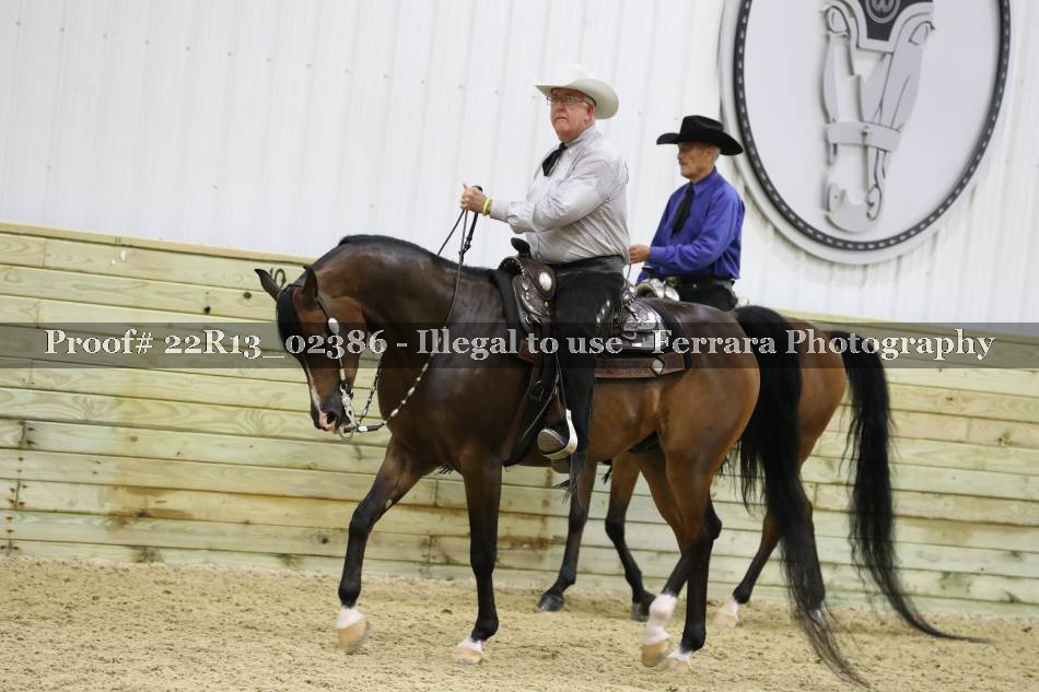 Proof 22R13_02386