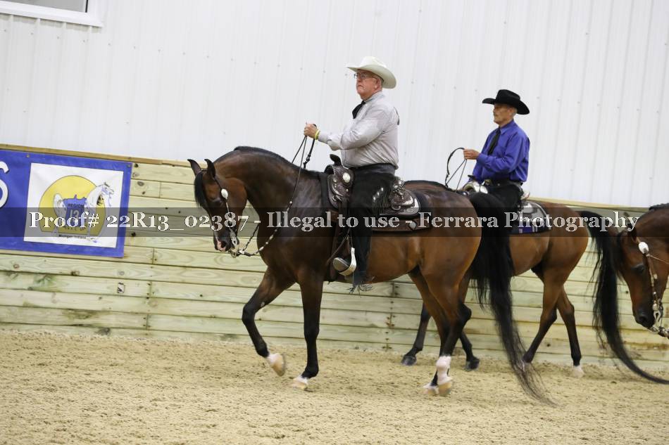 Proof 22R13_02387