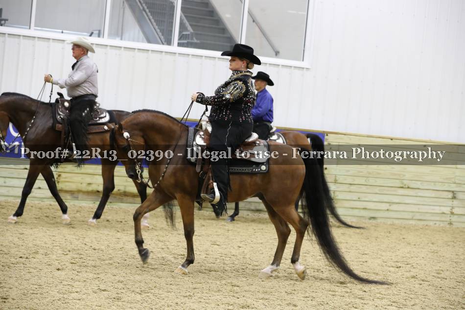 Proof 22R13_02390