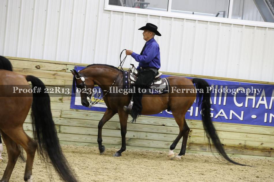 Proof 22R13_02391