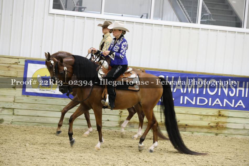 Proof 22R13_02394