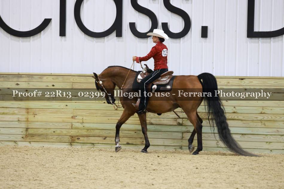 Proof 22R13_02399