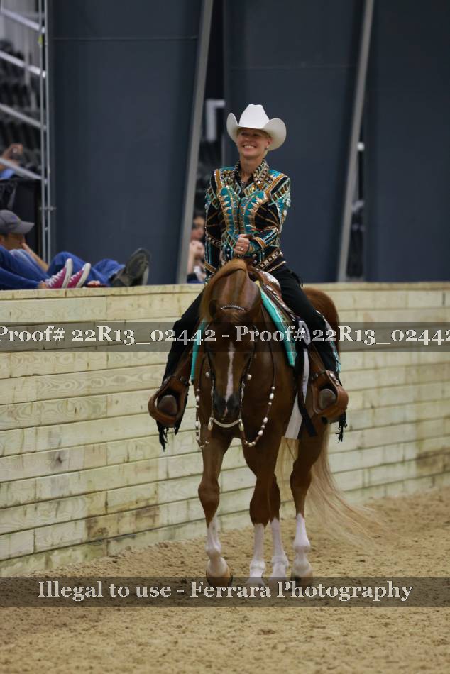 Proof 22R13_02442