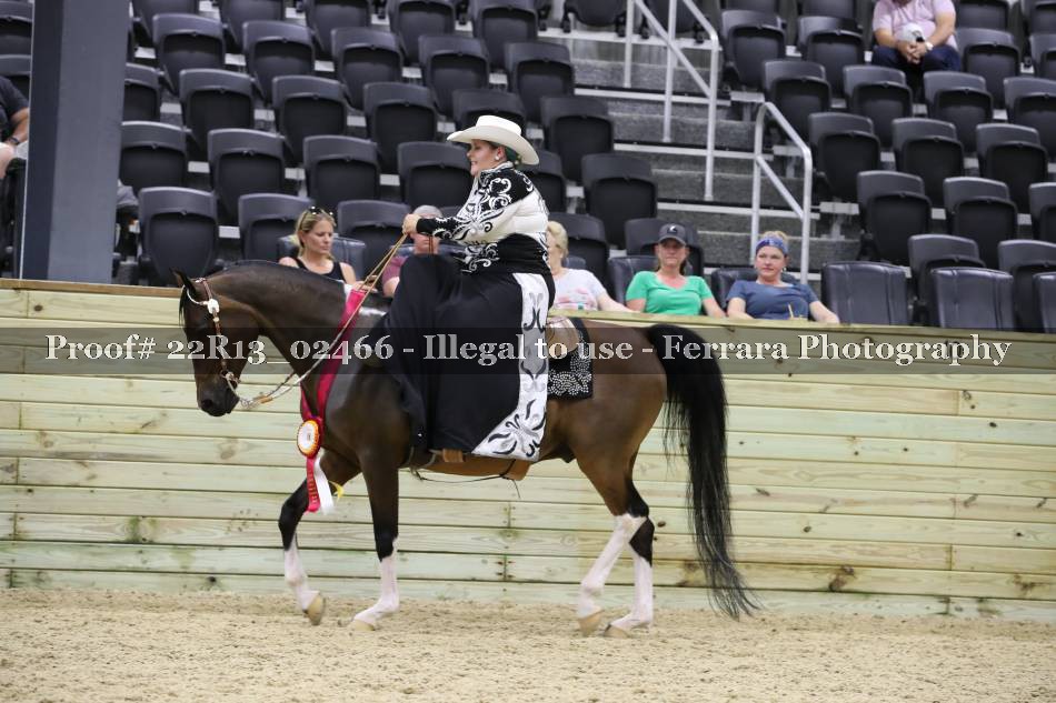 Proof 22R13_02466
