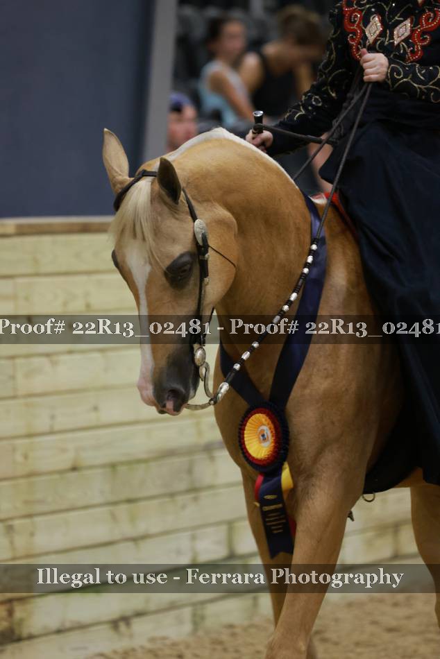 Proof 22R13_02481