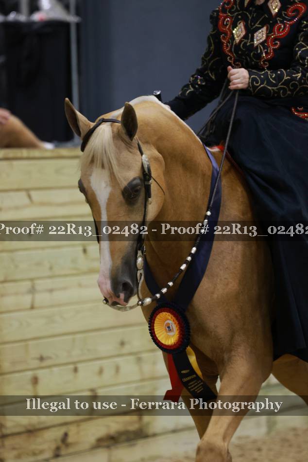 Proof 22R13_02482