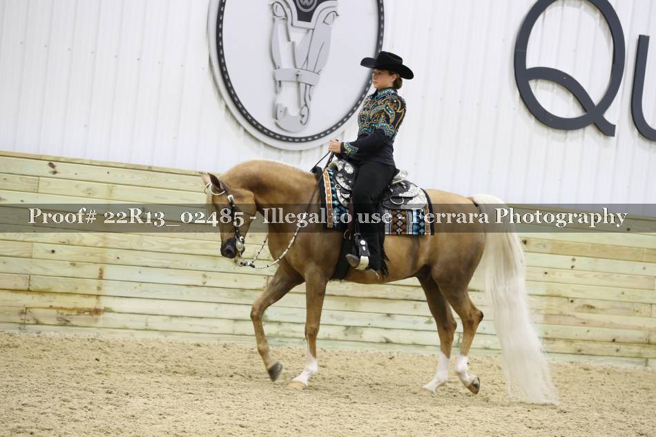 Proof 22R13_02485