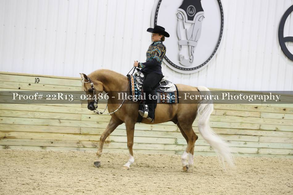 Proof 22R13_02486