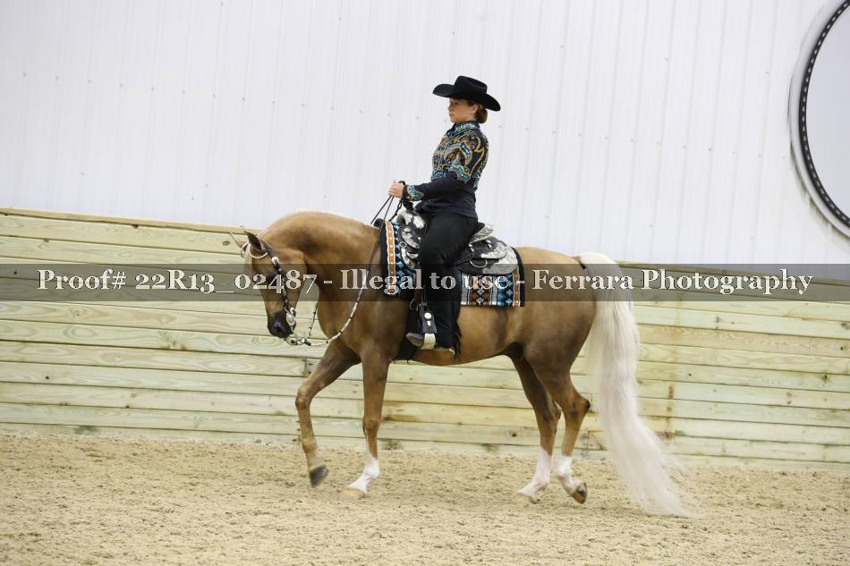 Proof 22R13_02487