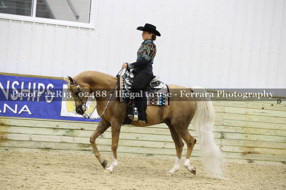 Proof 22R13_02488