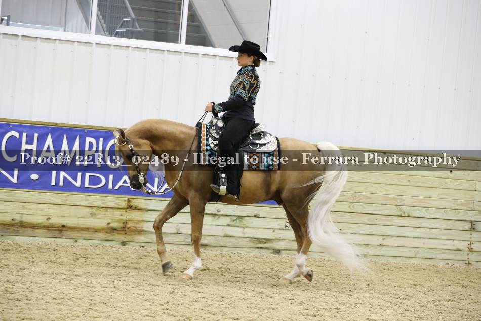 Proof 22R13_02489