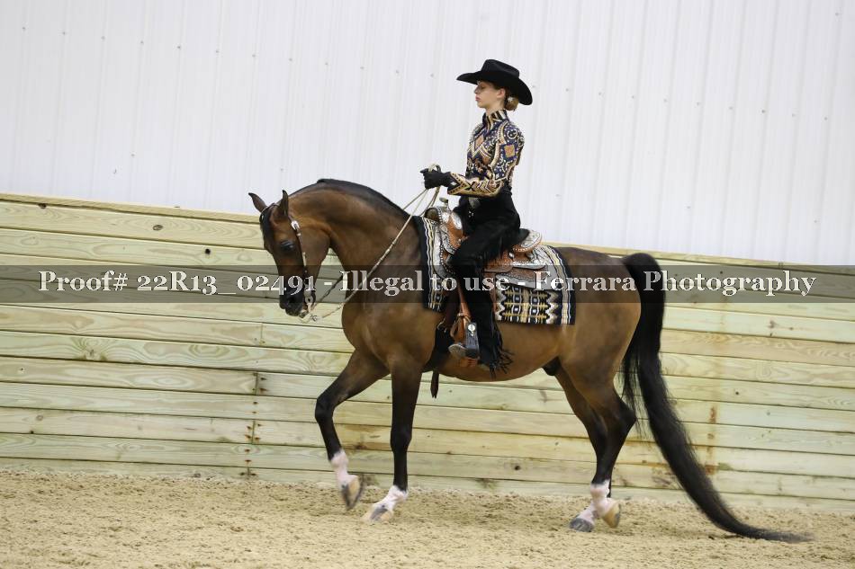 Proof 22R13_02491