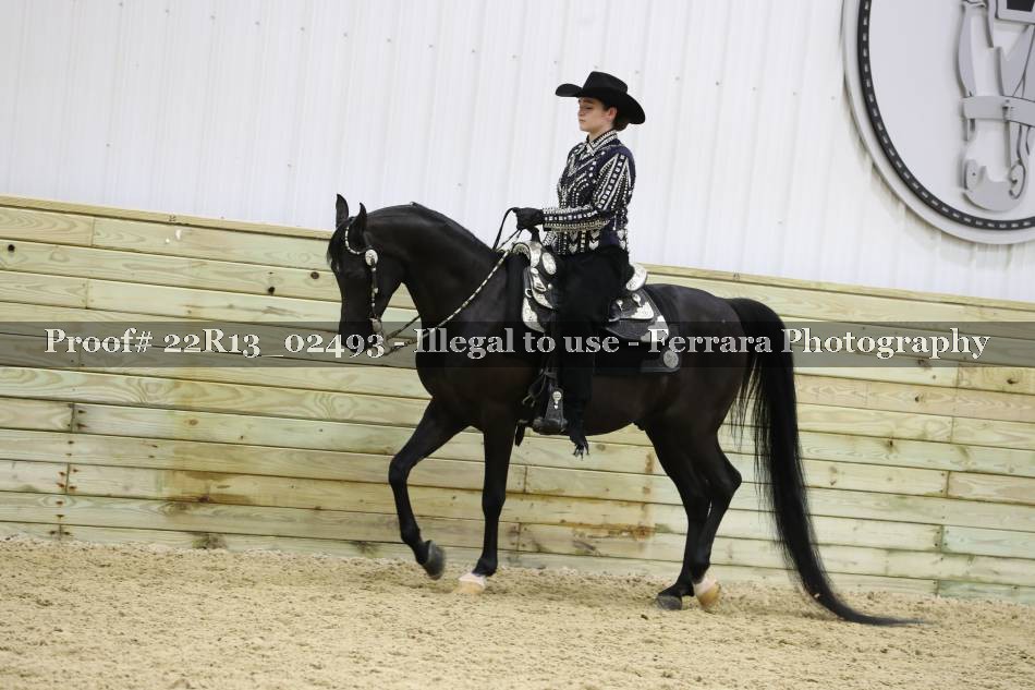 Proof 22R13_02493