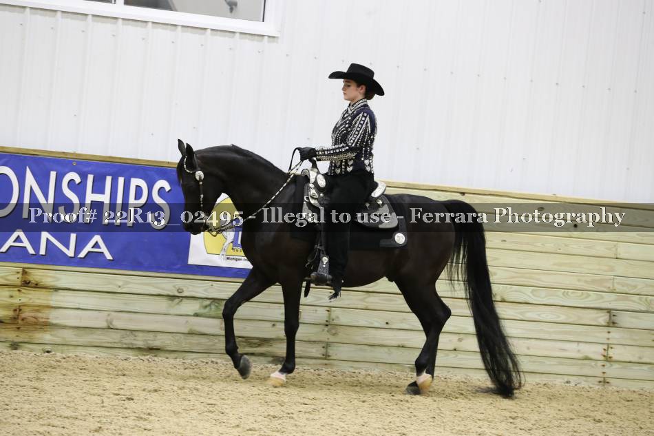 Proof 22R13_02495