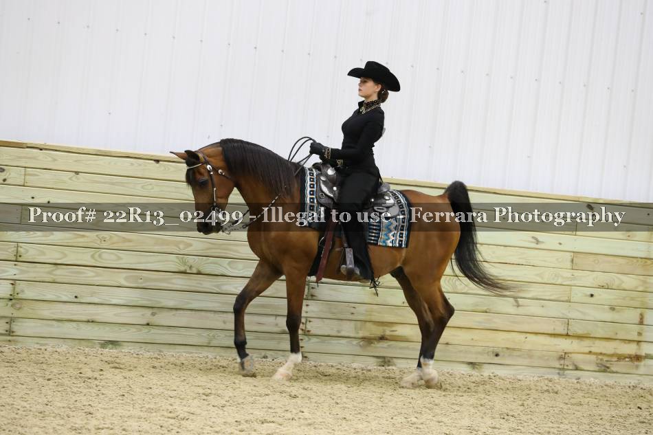 Proof 22R13_02499