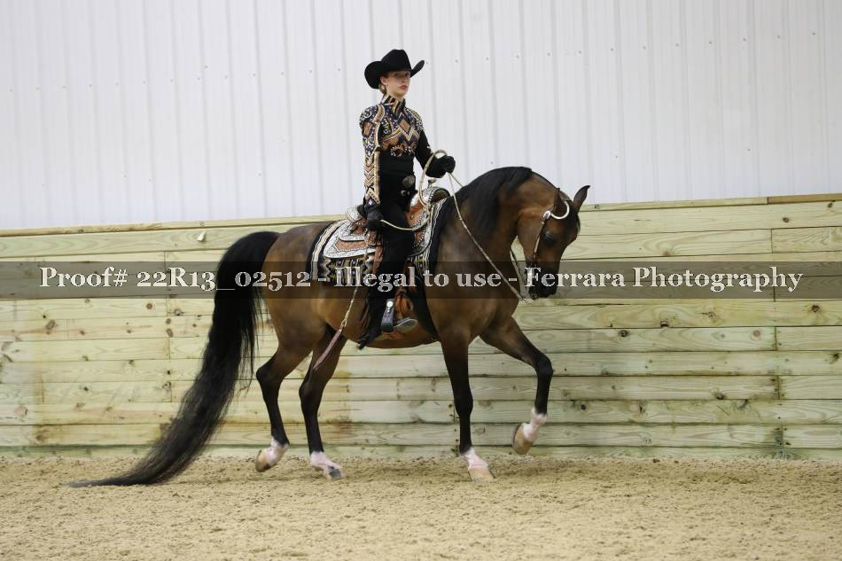 Proof 22R13_02512