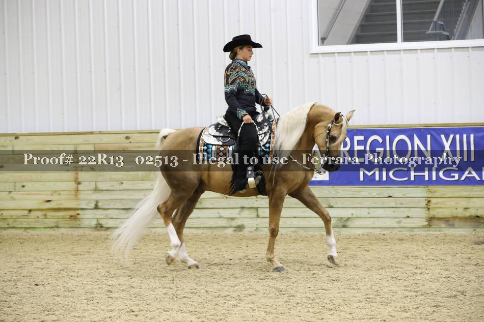 Proof 22R13_02513