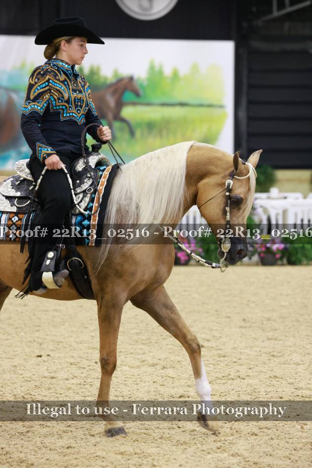 Proof 22R13_02516