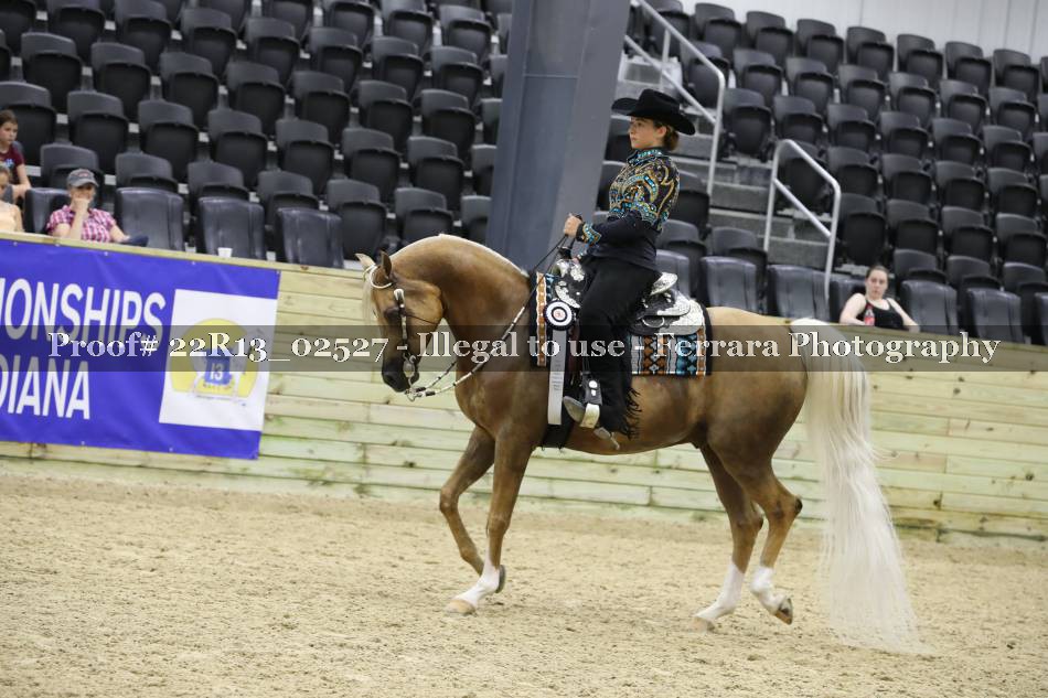 Proof 22R13_02527