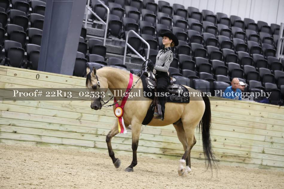 Proof 22R13_02533