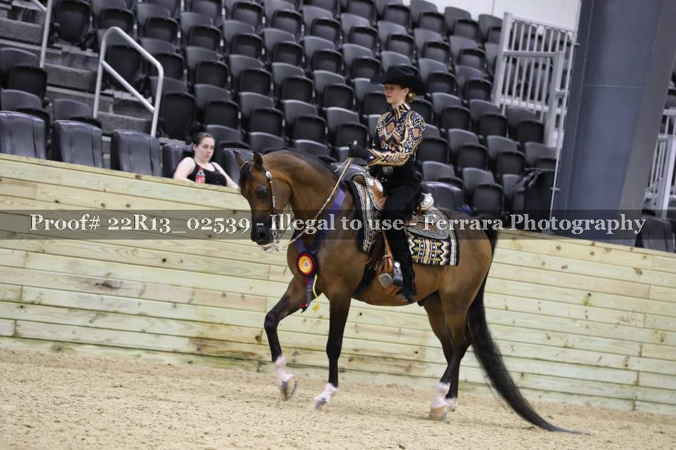 Proof 22R13_02539