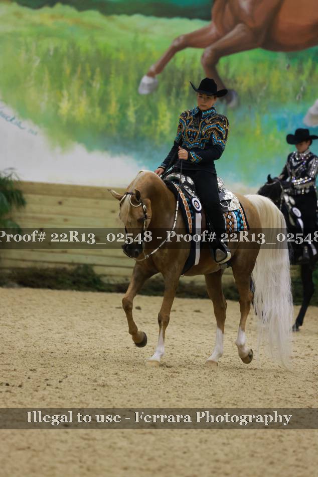 Proof 22R13_02548