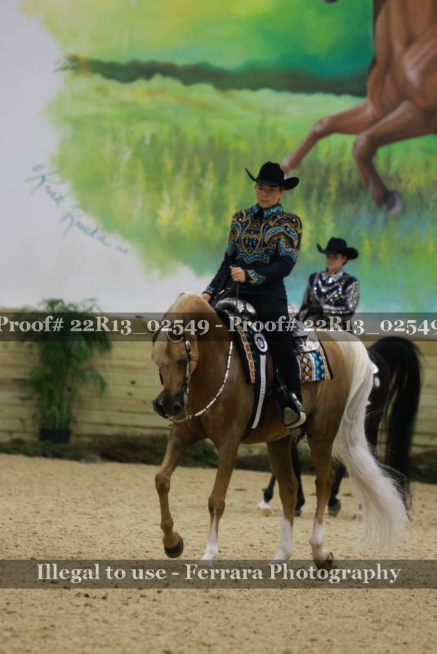 Proof 22R13_02549