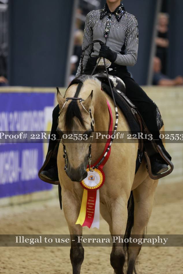 Proof 22R13_02553
