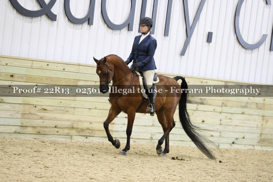 Proof 22R13_02561