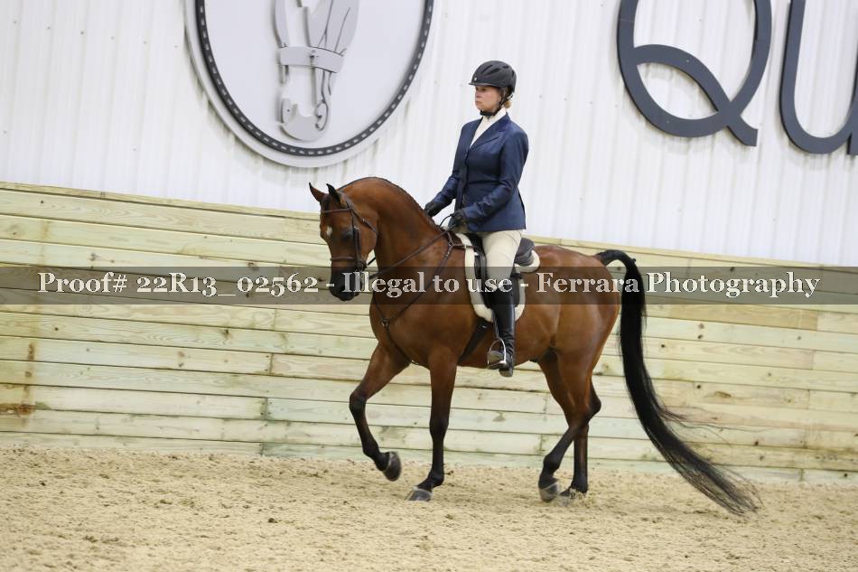Proof 22R13_02562